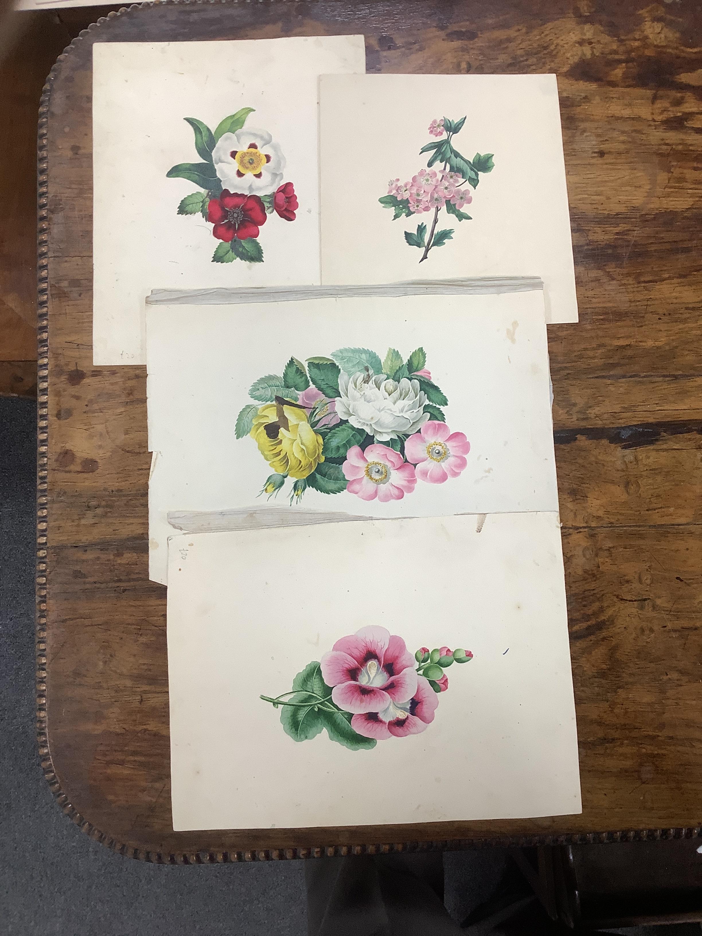 A collection of 19th century botanical watercolour studies on paper, one indistinctly signed and inscribed Manchester in ink, largest 34 x 26cm, unframed, housed in a tooled leather wallet